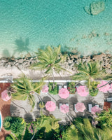 Tropicalia Hollywood by Catherine Martin