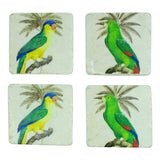 Coaster Set of 4 Parrots