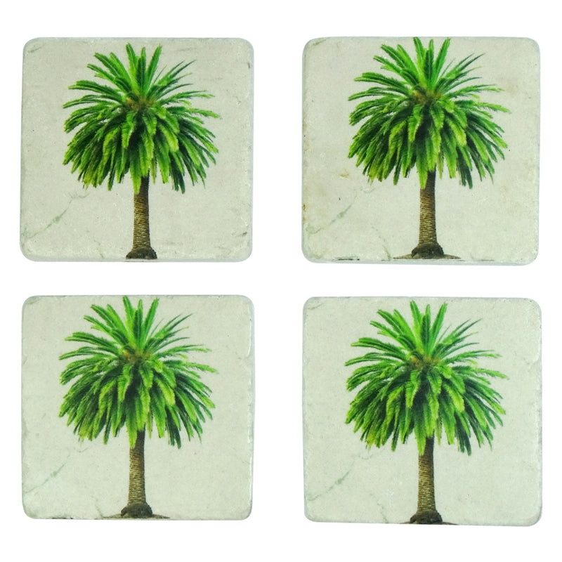 Coaster Set of 4 Canary Palm