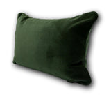Sunbrella Velvet in Fern - 1 x Lumbar Only, Be Quick!