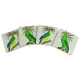 Coaster Set of 4 Parrots