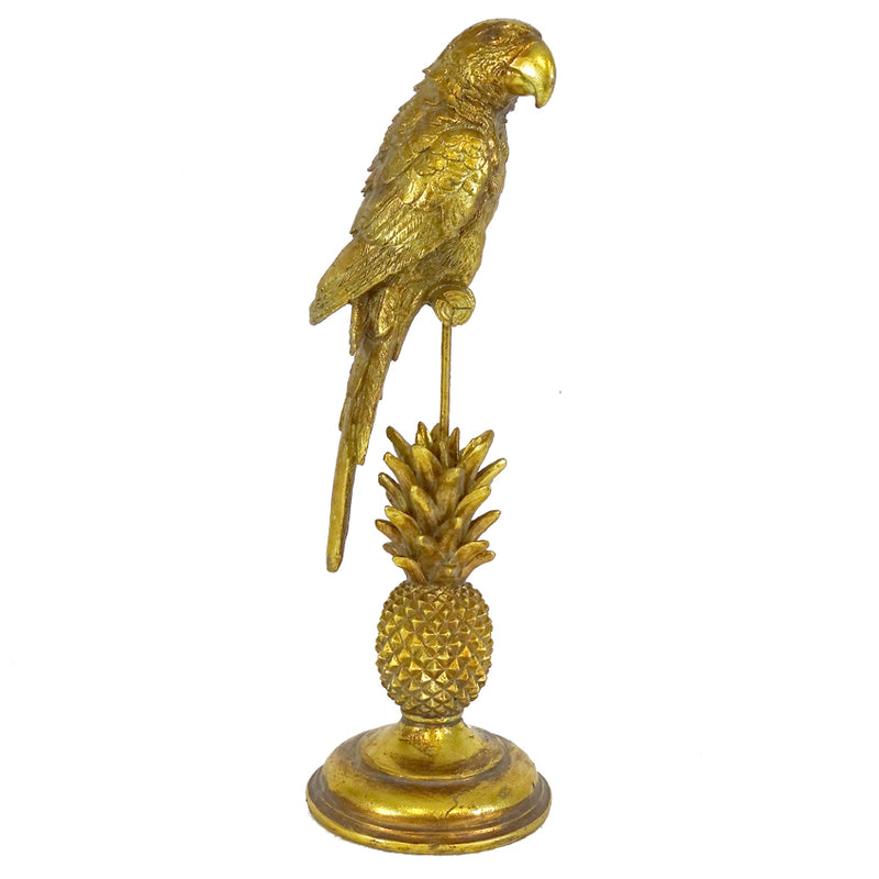 Parrot Decor