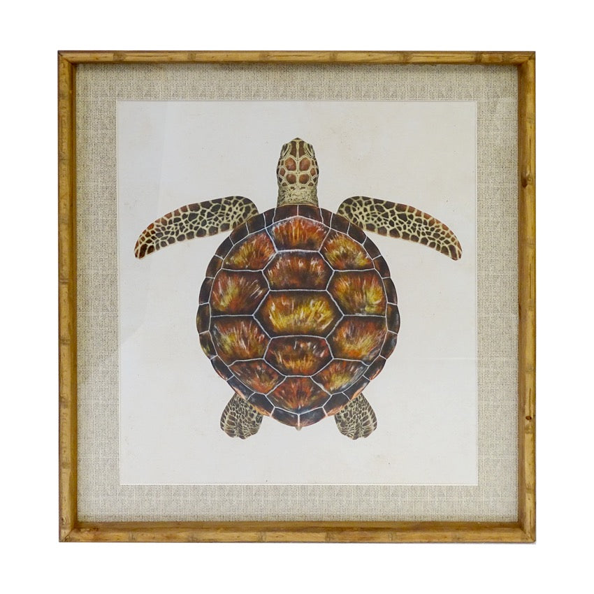 REEF TURTLE