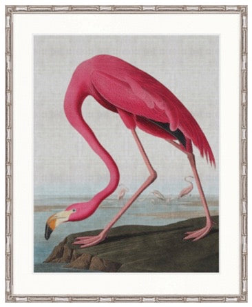 EXQUISITE BIRD III