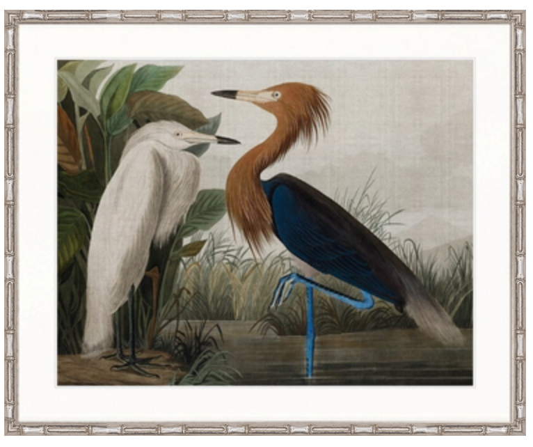 EXQUISITE BIRD VI