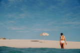 Salty Shadows Beach Umbrella - Palm