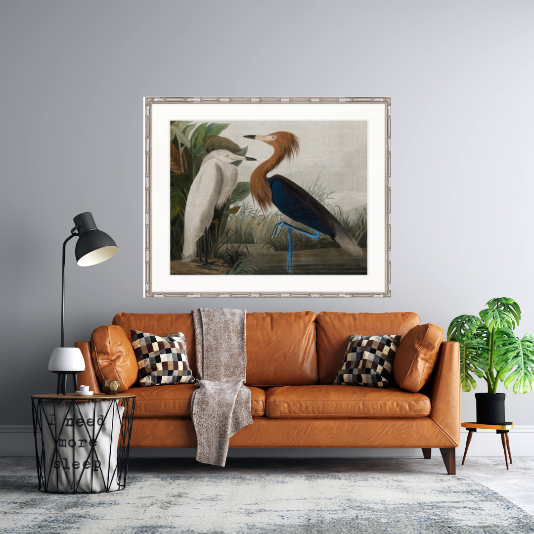 EXQUISITE BIRD VI